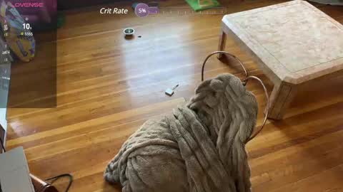 Snapshot of lucydreamsbaby chatting on 12, 2, 2025 lucydreamsbaby online show from 12, 2, 2025