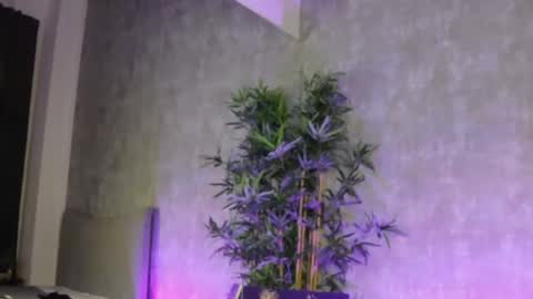 Snapshot of lucyrayy chatting on 4, 2, 2026 lucyrayy online show from 4, 2, 2026