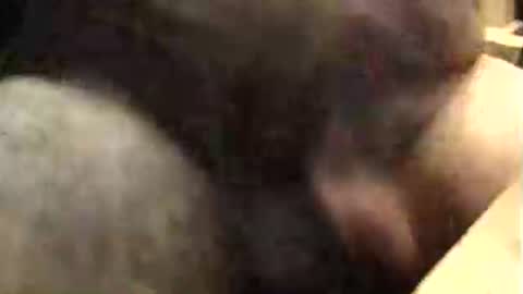 lukestarfckr online show from 9, 10, 2025