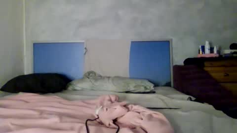 Snapshot of lumivex chatting on 30, 11, 2025 lumivex online show from 30, 11, 2025