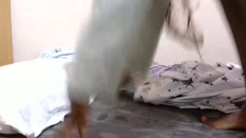 lunargoddess45 online show from 3, 3, 2026