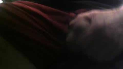 Snapshot of lunatica12 chatting on 23, 2, 2025 lunatica12 online show from 23, 2, 2025