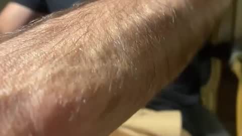 lupushorny online show from 8, 4, 2026