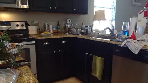 lustersp1ce online show from 6, 12, 2024