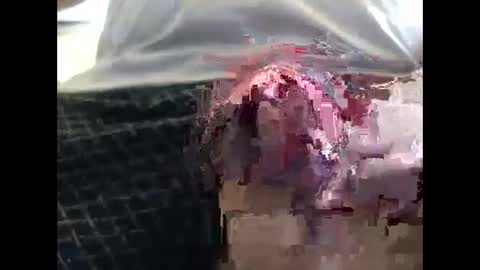 Snapshot of lutorres chatting on 19, 9, 2025 lutorres online show from 19, 9, 2025