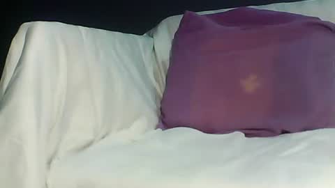 Bee Bee online show from 23, 3, 2026