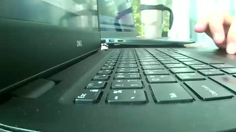 Bee Bee online show from 26, 3, 2026