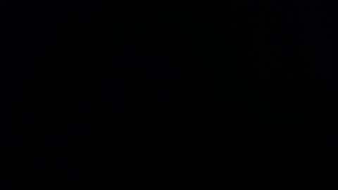 Lesly And Arnold online show from 4, 11, 2025