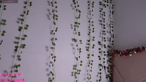 Lyly   online show from 12, 9, 2025