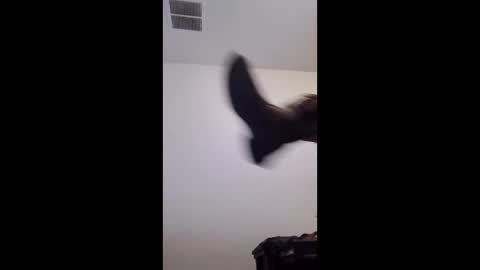 m2tonerfux online show from 25, 4, 2026