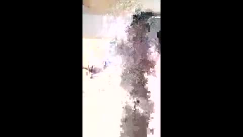 maciasbraulio846 online show from 3, 2, 2026