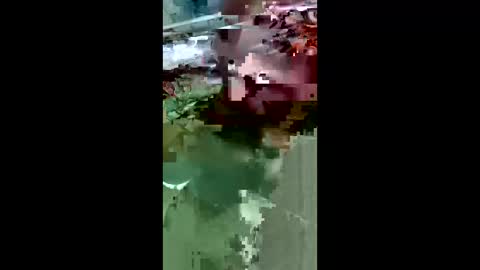 Snapshot of maciasbraulio846 chatting on 14, 3, 2026 maciasbraulio846 online show from 14, 3, 2026