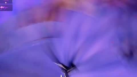    online show from 5, 12, 2025