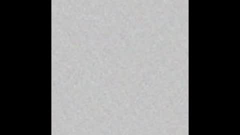 Madison online show from 26, 3, 2026