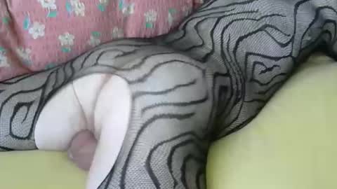 maestro2017 online show from 6, 4, 2026