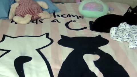 maferchavez88 online show from 17, 1, 2026