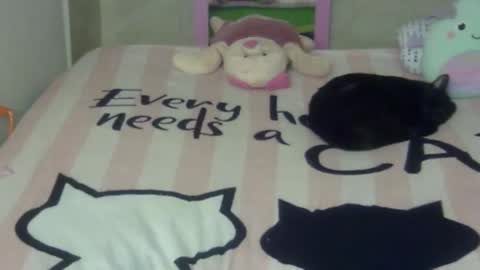 maferchavez88 online show from 22, 2, 2026