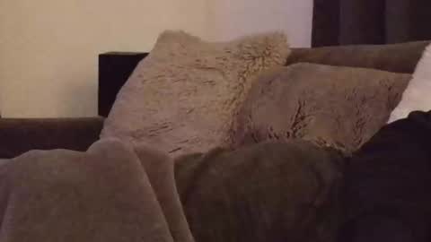 magic_passionitaliano online show from 3, 3, 2026