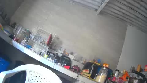 maite2020 online show from 8, 12, 2024