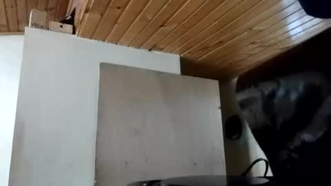 MAITE STONE1 online show from 31, 10, 2025