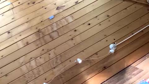 makeyousquirt1969 online show from 27, 10, 2025