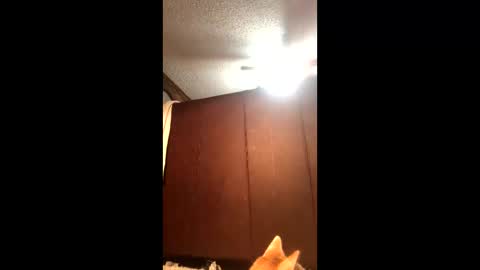 Snapshot of makinziirain chatting on 21, 2, 2026 KarizmaticKitten online show from 21, 2, 2026