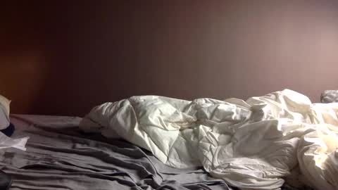 malefrench1 online show from 17, 2, 2026