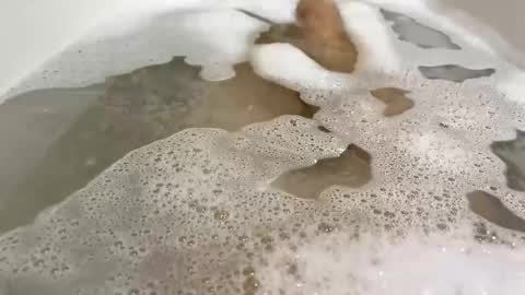 Monad online show from 10, 11, 2025