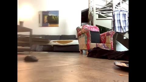 man38110 online show from 14, 2, 2025