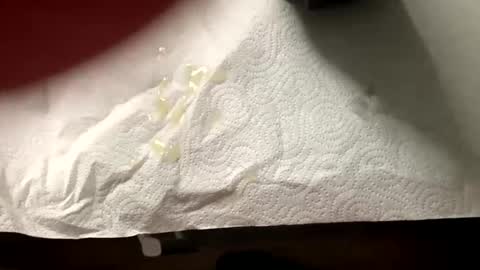 man4you888 online show from 20, 2, 2025