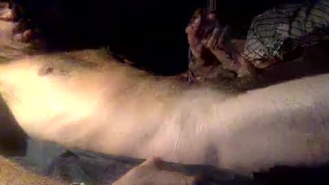 mandalay3 online show from 16, 12, 2025