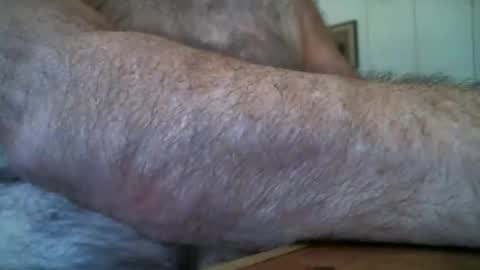 Snapshot of manleg439 chatting on 26, 2, 2026 manleg439 online show from 26, 2, 2026