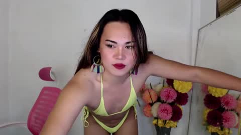 rein online show from 26, 12, 2024