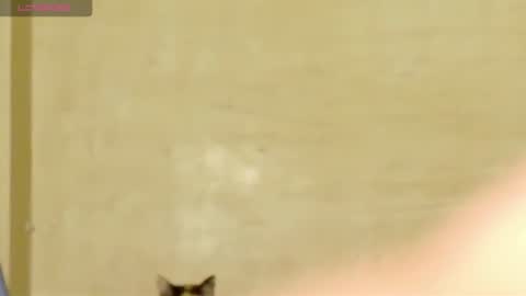 Snapshot of manumeow_ chatting on 18, 6, 2026 Manu online show from 18, 6, 2026