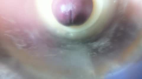 Snapshot of marcsexxy chatting on 6, 2, 2026 Marc online show from 6, 2, 2026