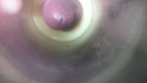 Snapshot of marcsexxy chatting on 19, 2, 2026 Marc online show from 19, 2, 2026