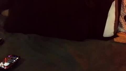marctheslut online show from 26, 5, 2026