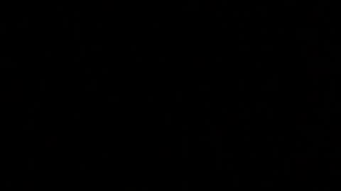 Snapshot of margolane chatting on 11, 10, 2025 Elle online show from 11, 10, 2025