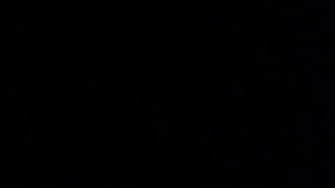 Snapshot of margolane chatting on 14, 1, 2026 Elle online show from 14, 1, 2026