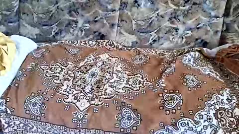 marian20242025 online show from 1, 11, 2025