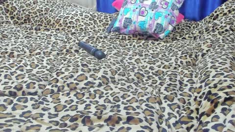 Snapshot of marie_marie03 chatting on 23, 1, 2025 Marie   online show from 23, 1, 2025