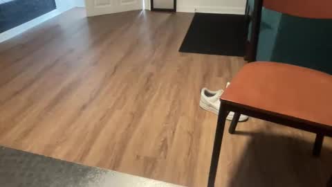 Z online show from 5, 1, 2026