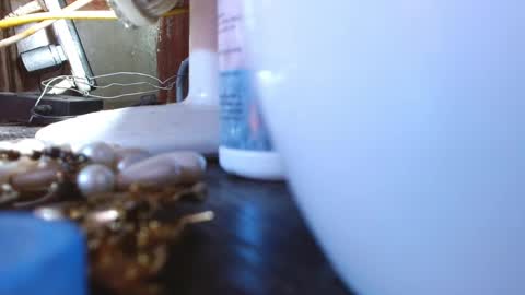 LEAH online show from 9, 3, 2025