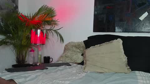 Snapshot of markus_latin chatting on 19, 12, 2024 Markus latin online show from 19, 12, 2024