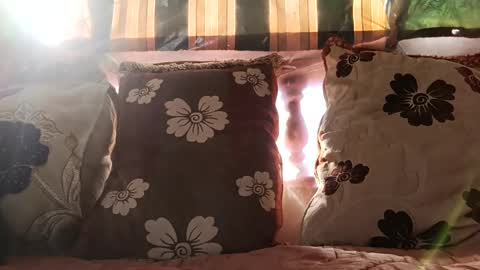 marocreda33 online show from 24, 12, 2024