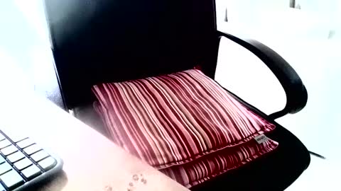 Snapshot of maskime59 chatting on 12, 2, 2025 maskime59 online show from 12, 2, 2025