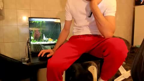 Silly Rabbit  online show from 22, 2, 2026