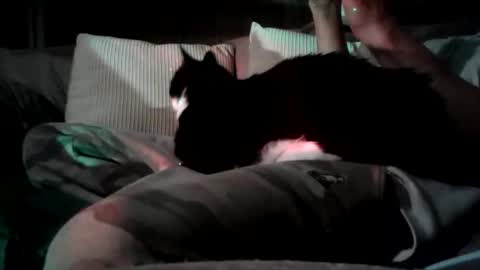 mastrdebator online show from 5, 11, 2025