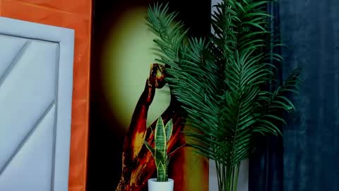 Alex online show from 17, 2, 2026