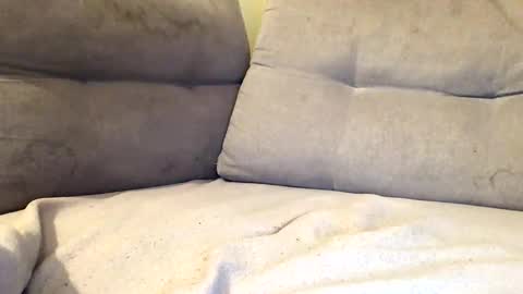 Snapshot of maximemax14 chatting on 25, 2, 2026 maximemax14 online show from 25, 2, 2026